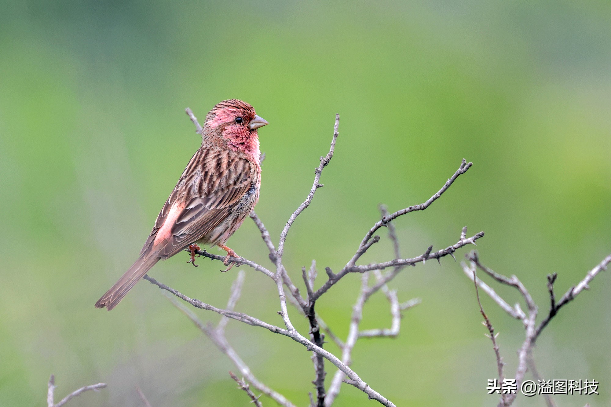 eosr7微单详细测评,佳能r7这款相机真的是值得买吗