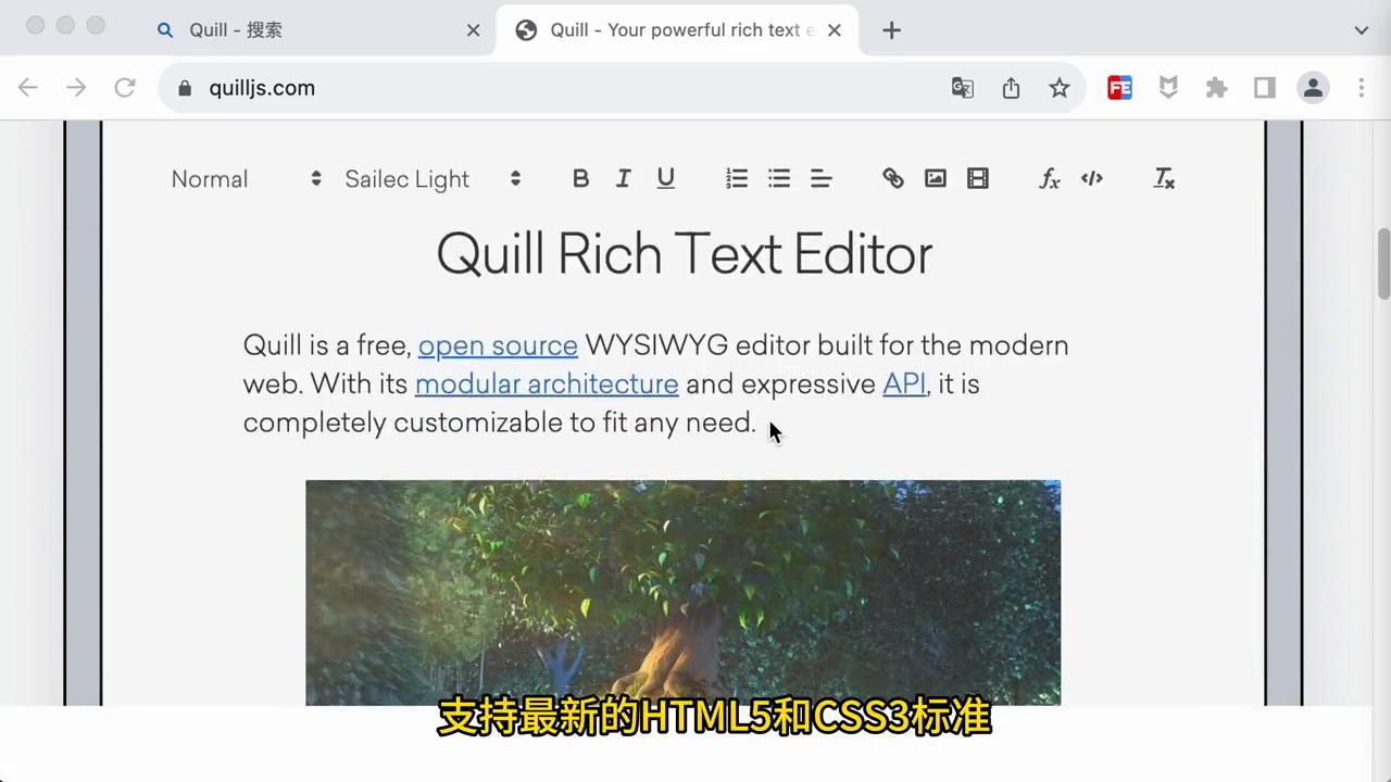 富文本编辑器功能有哪些,md文本编辑器和富文本编辑器
