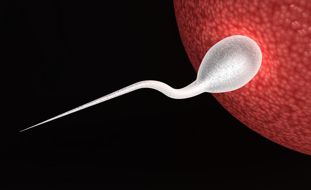 男性隔多久一次精子质量好,男性精子质量多长时间能最好