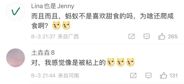 白象方便面蚂蚁事件处理效果,白象方便面吃出蚂蚁还能吃吗