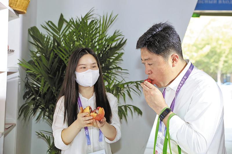 杨凌农高会农业产业园,渭南乡村振兴农产品展销会