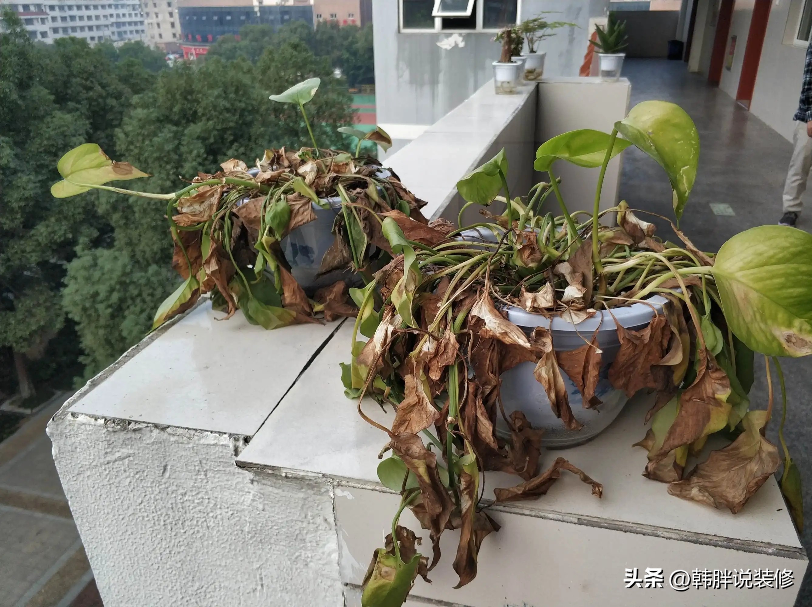 家中七不留富贵到永久,家中七不放的说法