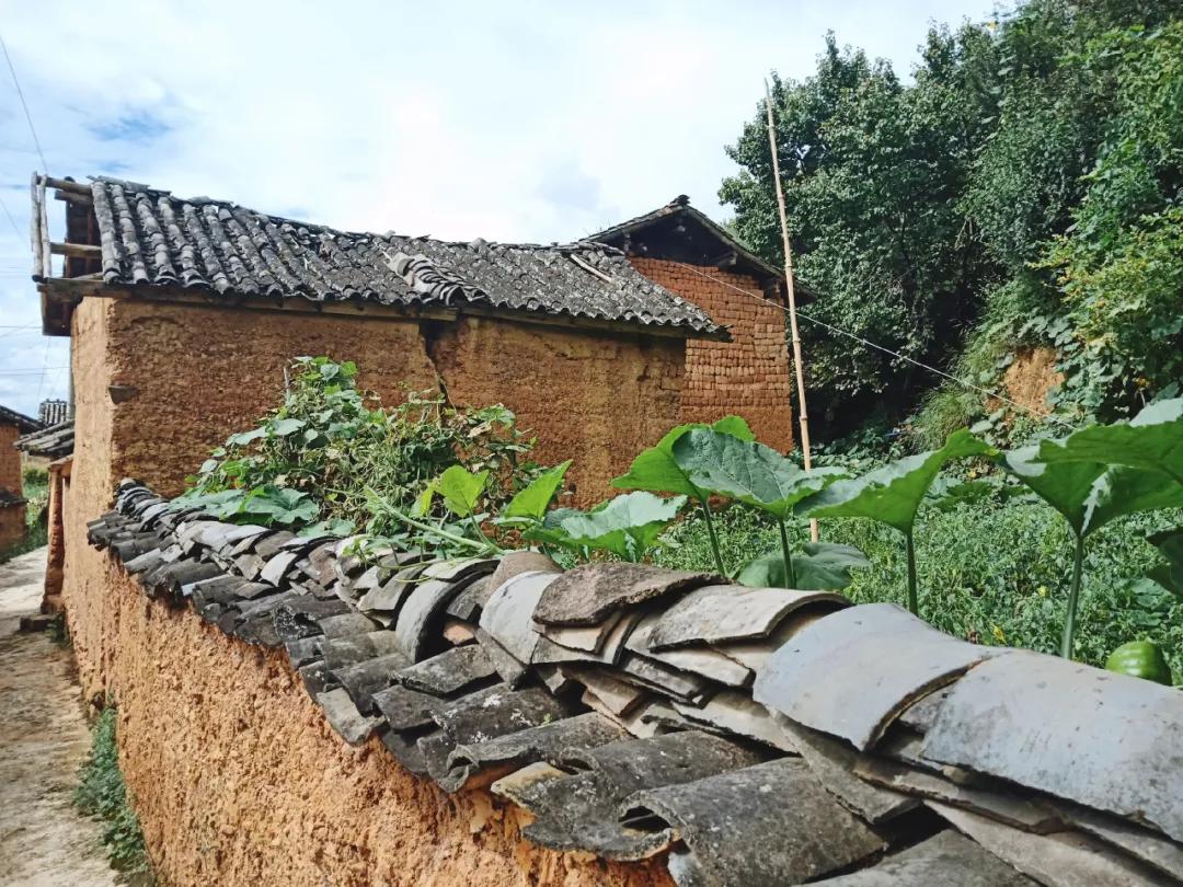 九河沿岸的历史,九河蜿蜒源远流长