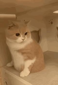 电脑cpu温度高的图片,电脑cpu温度对照表