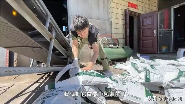 90后程序员卖羊粪直播间,29岁程序员辞职回家卖羊粪