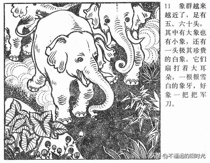 大象搬家,大象搬家河北