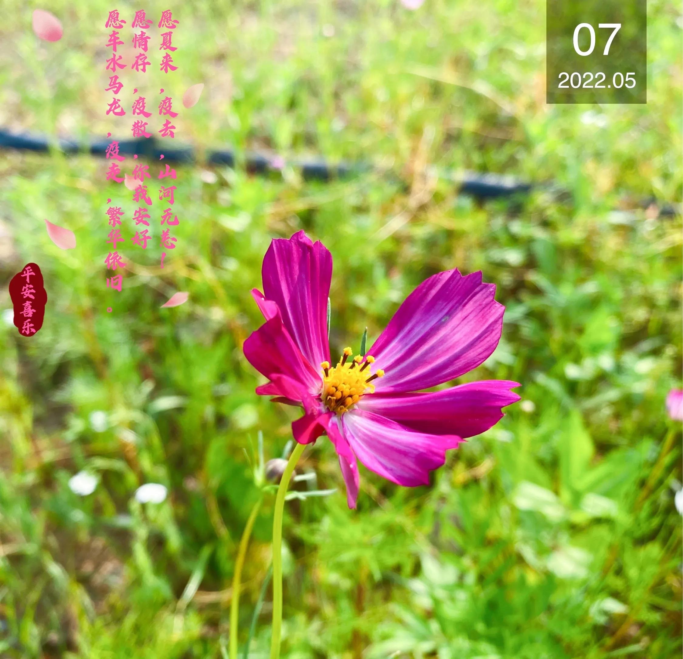 差二个月40年工龄养老金如何算,1972年出生41年工龄养老金是多少