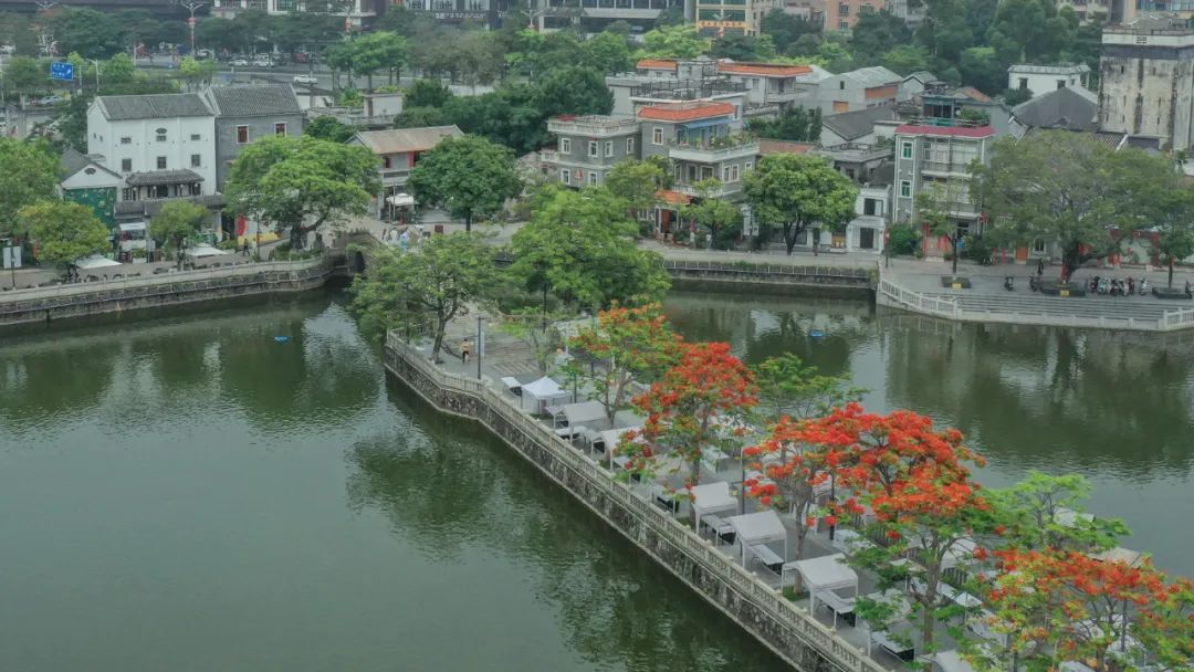 深圳宝安区吃喝玩乐攻略,宝安吃喝玩乐的地方推荐