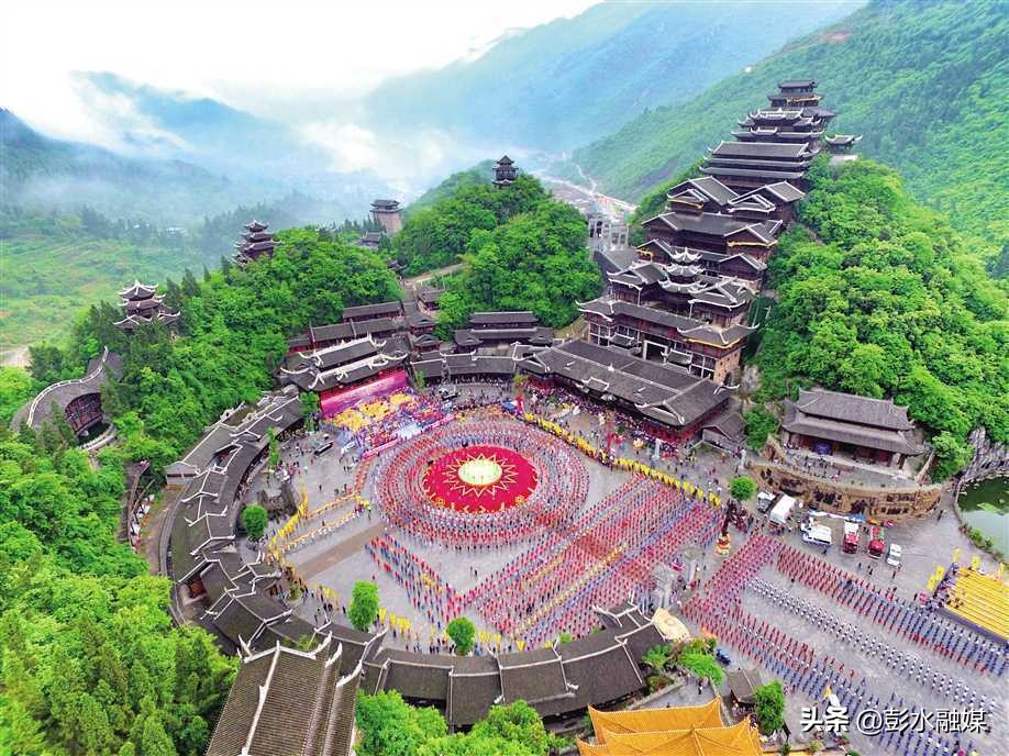 重庆日报特刊聚焦彭水：“九苗”归一兴苗乡“三品”合璧强产业