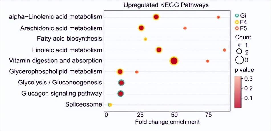 百趣代谢组学解读，深度解码蜜蜂肠菌调节宿主行为和神经功能