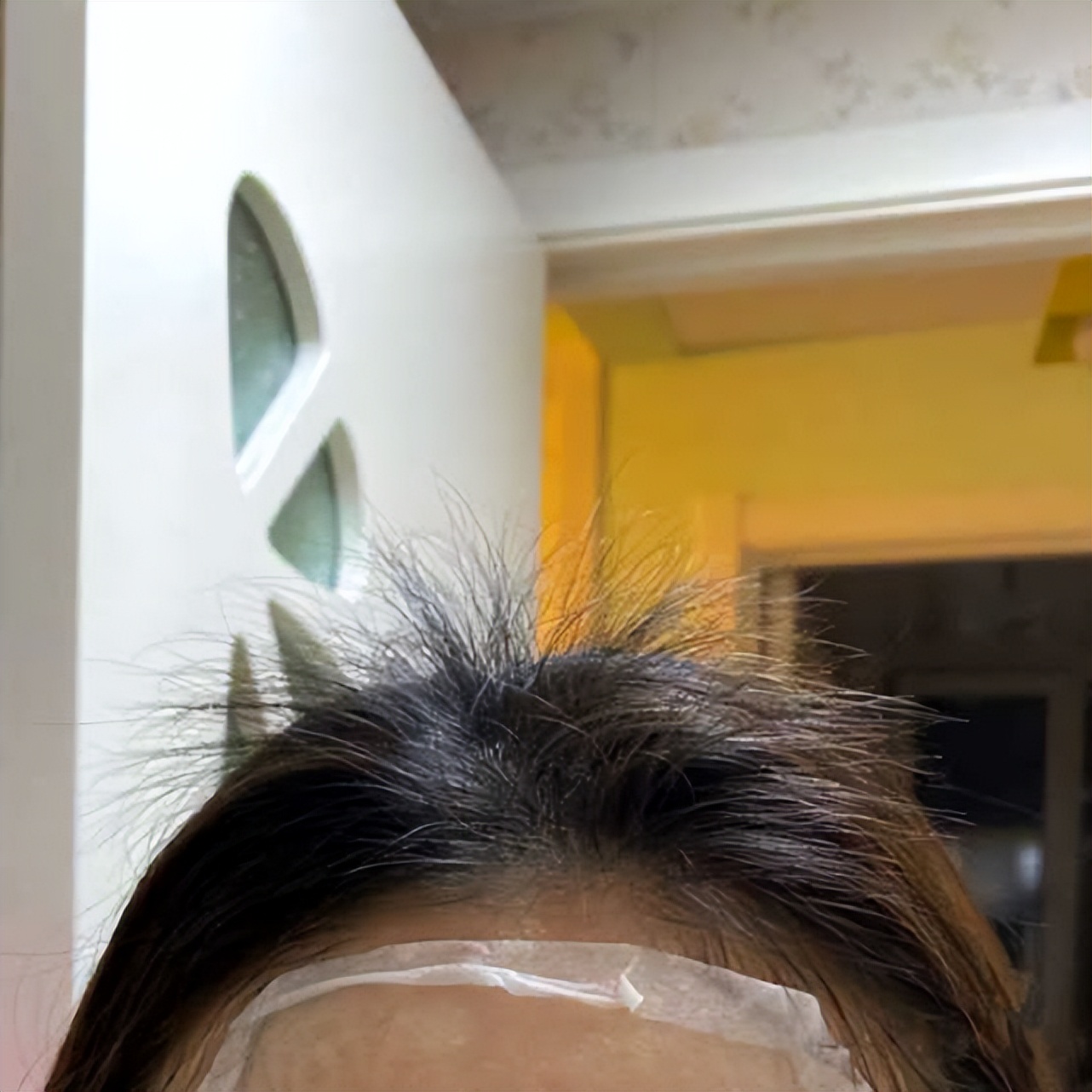 生发洗发水排行榜第一名推荐,2020生发洗发水效果排行榜10强