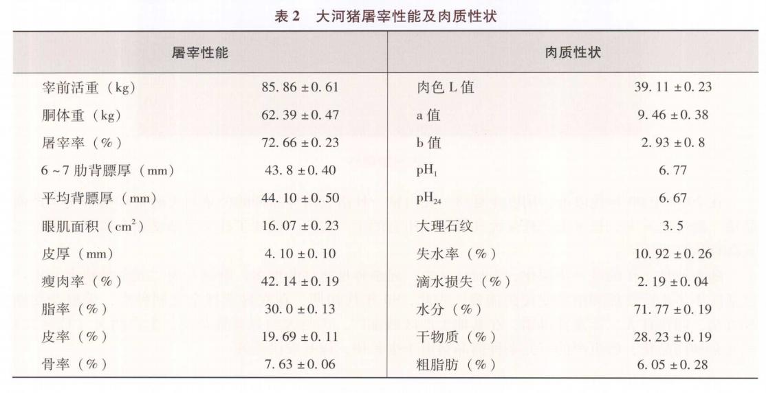 大河猪业,大河猪