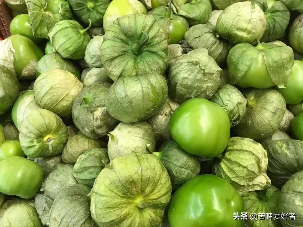 小时候割猪草,小时候割喂猪的猪草都叫什么