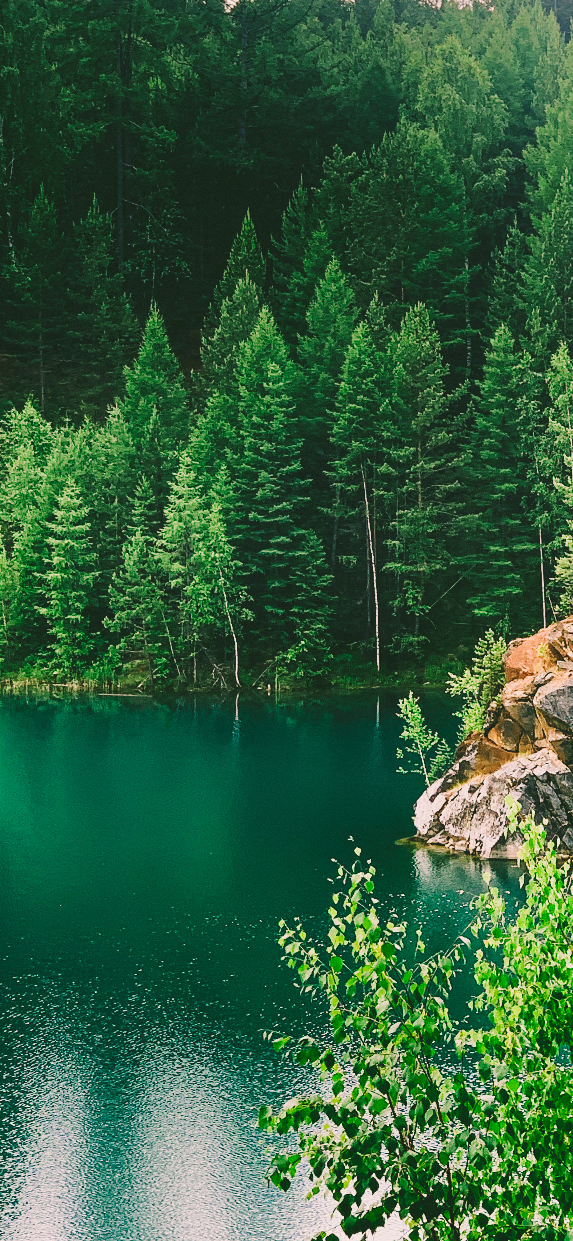 壁纸护眼好看的高清壁纸,华为壁纸绿色护眼图片大全高清