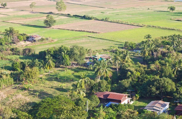 现在的农民该如何脱贫，打工才是农民的唯一的出路，您怎么看？