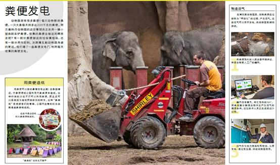 dk动物园全套,dk揭秘动物王国的奥秘