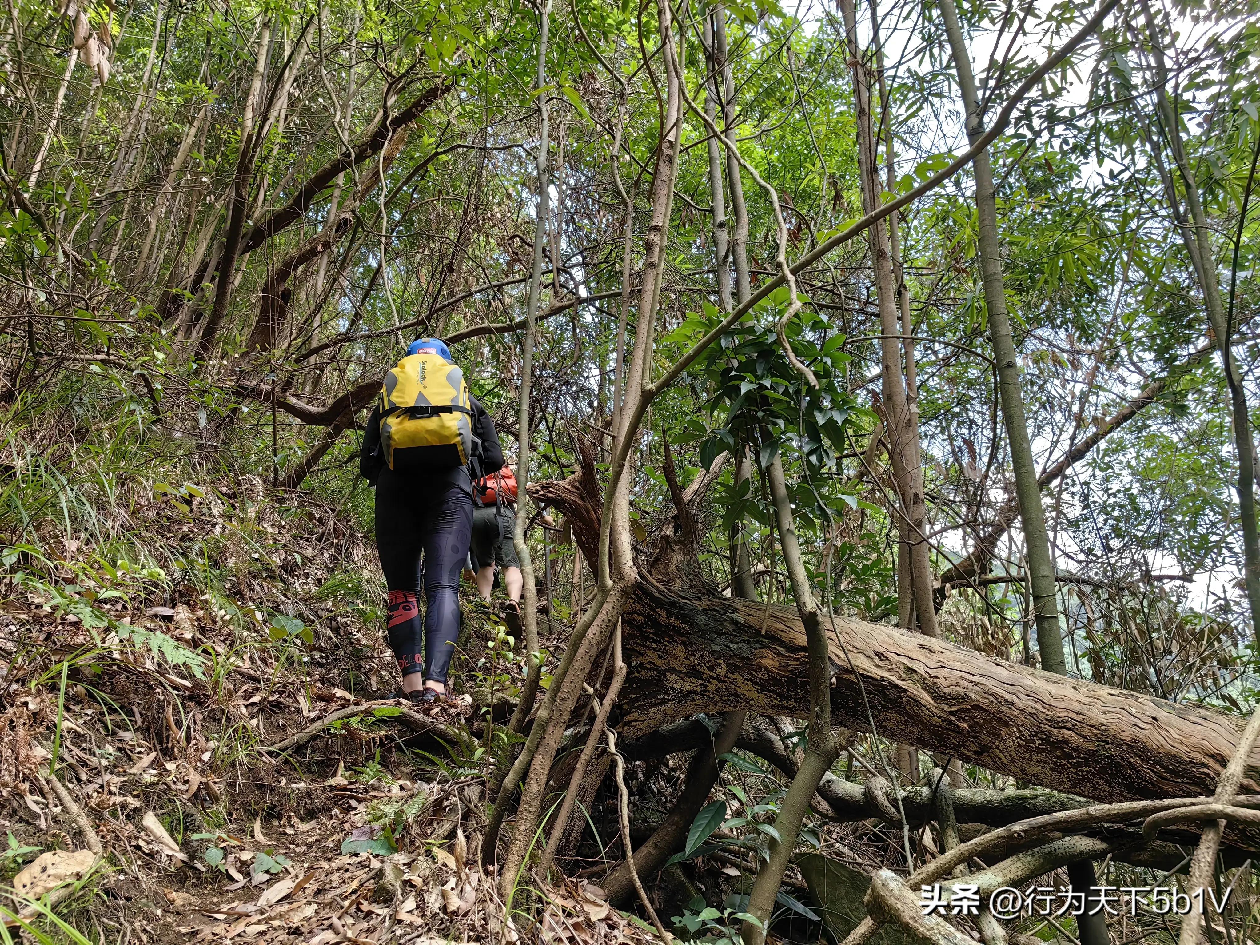 【探秘金紫山下的清凉秘境】行走在资源资江源大峡谷的风景线上