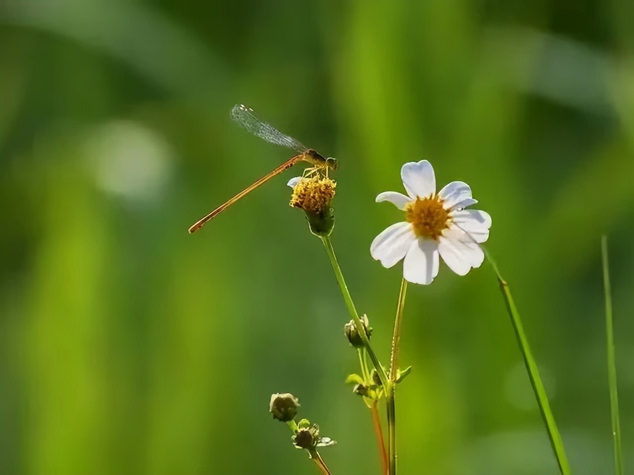 人退休了其实只剩下一件事要做,退休以后最好的活法就这几句话