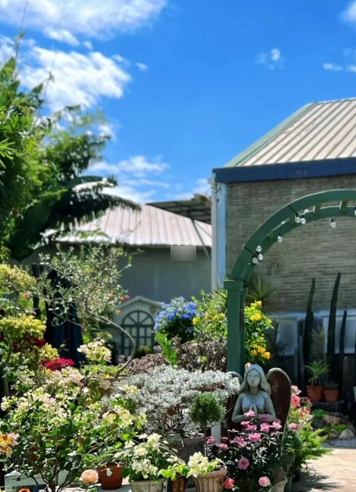 10个深圳花市，母亲节送花，不如带妈妈去看花海