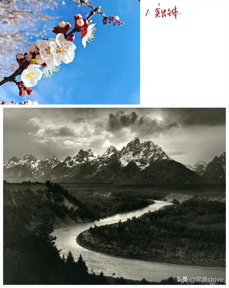 什么是摄影艺术独特的本质特征,什么是摄影测量的方位元素