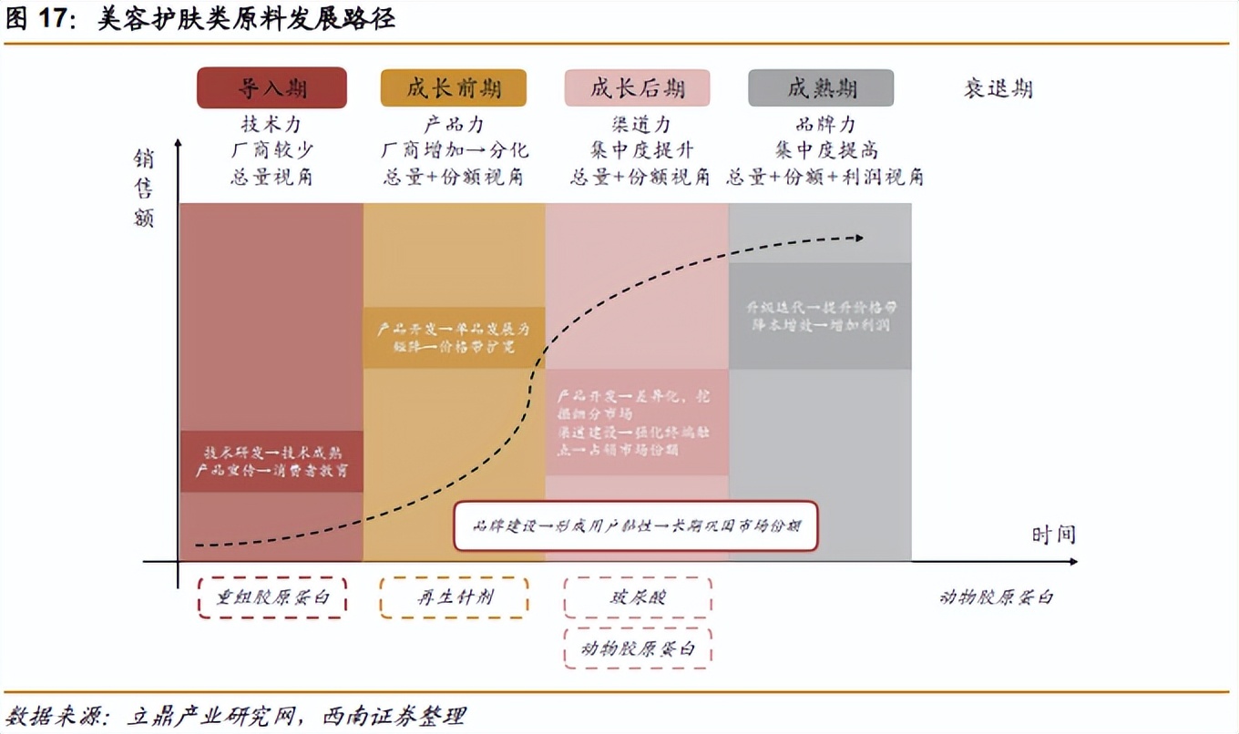 热门护肤品原料有哪些,胶原蛋白千亿品牌是什么成分
