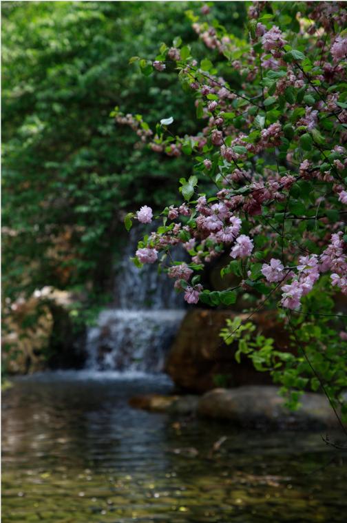 迭新什么意思,迭新是什么意思