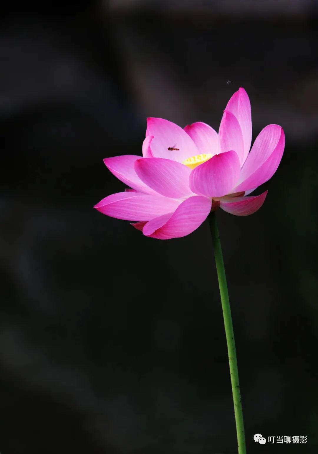 照片拍摄现场分享,说说摄影组照怎么拍摄