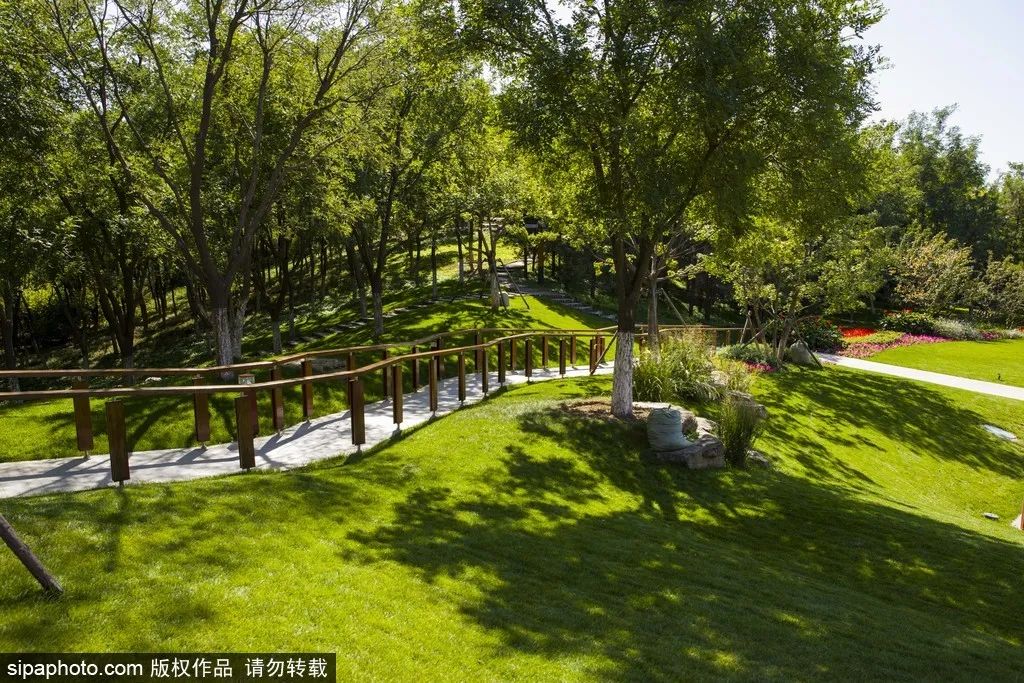 京郊免费露营的地方,北京人气最旺的露营圣地