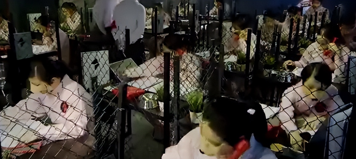 缅北训狗场上万女性被困其中,直击缅北训狗场是不是真实的