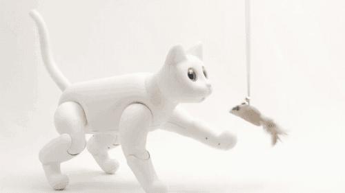 机器猫ai仿生,ai仿生机器