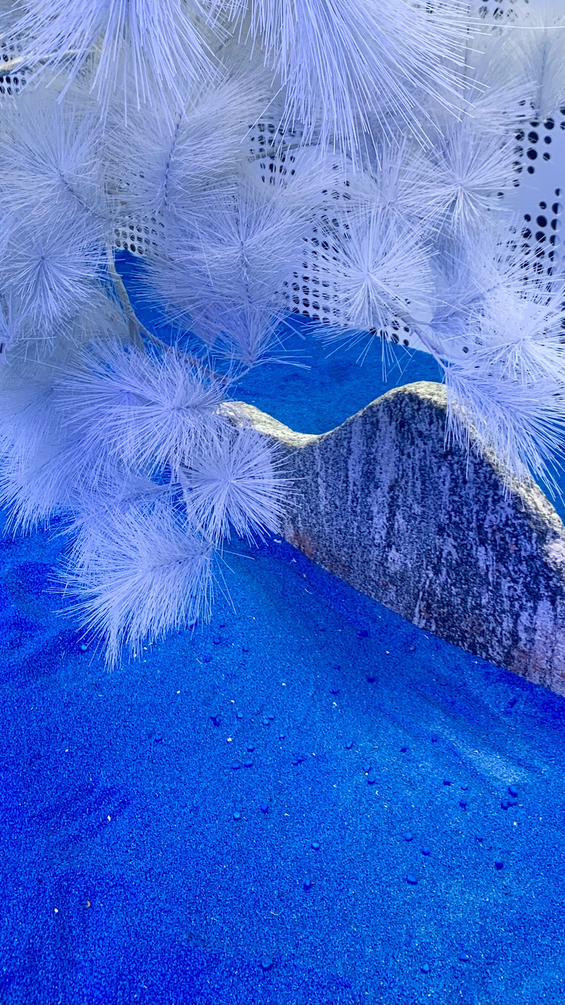 深圳ENJOY｜抵达未来！华南首个车库美术馆来了