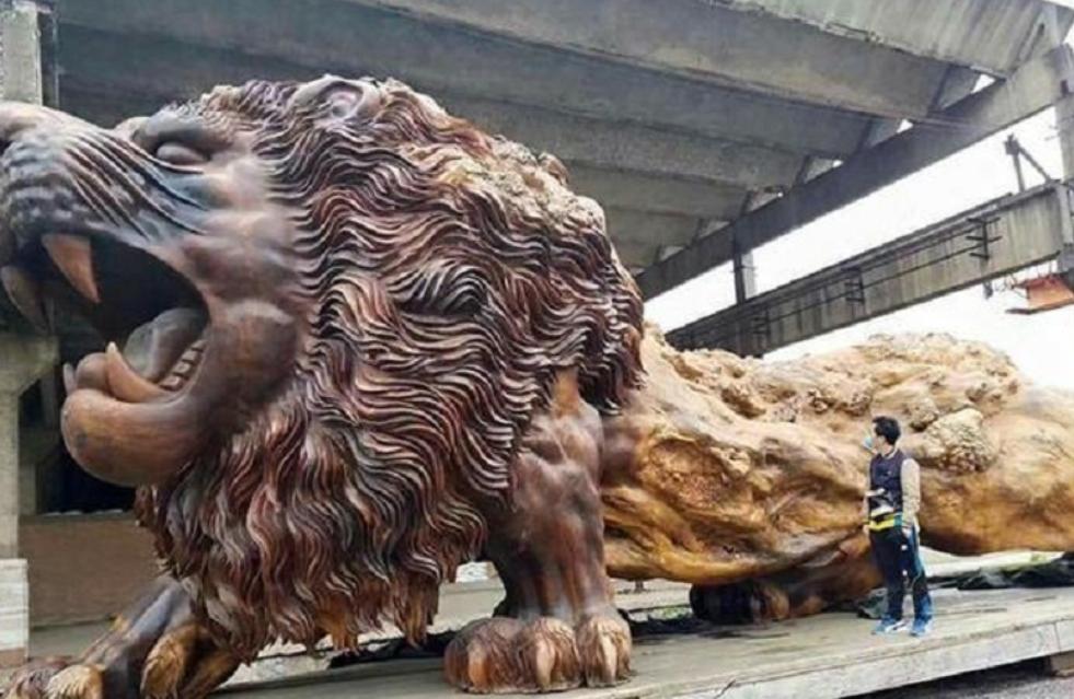广西男子造出15米根雕雄狮,富商出价300万被拒,如今烂在手里