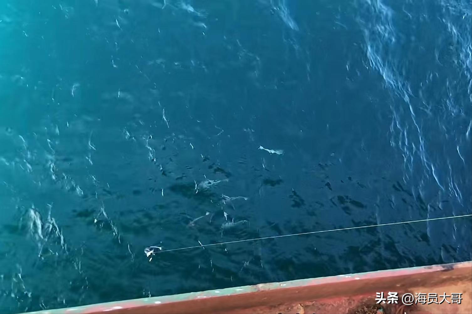 运11万吨粮食去加纳，2天装18天卸，船员半夜值班被抓，数罪并罚