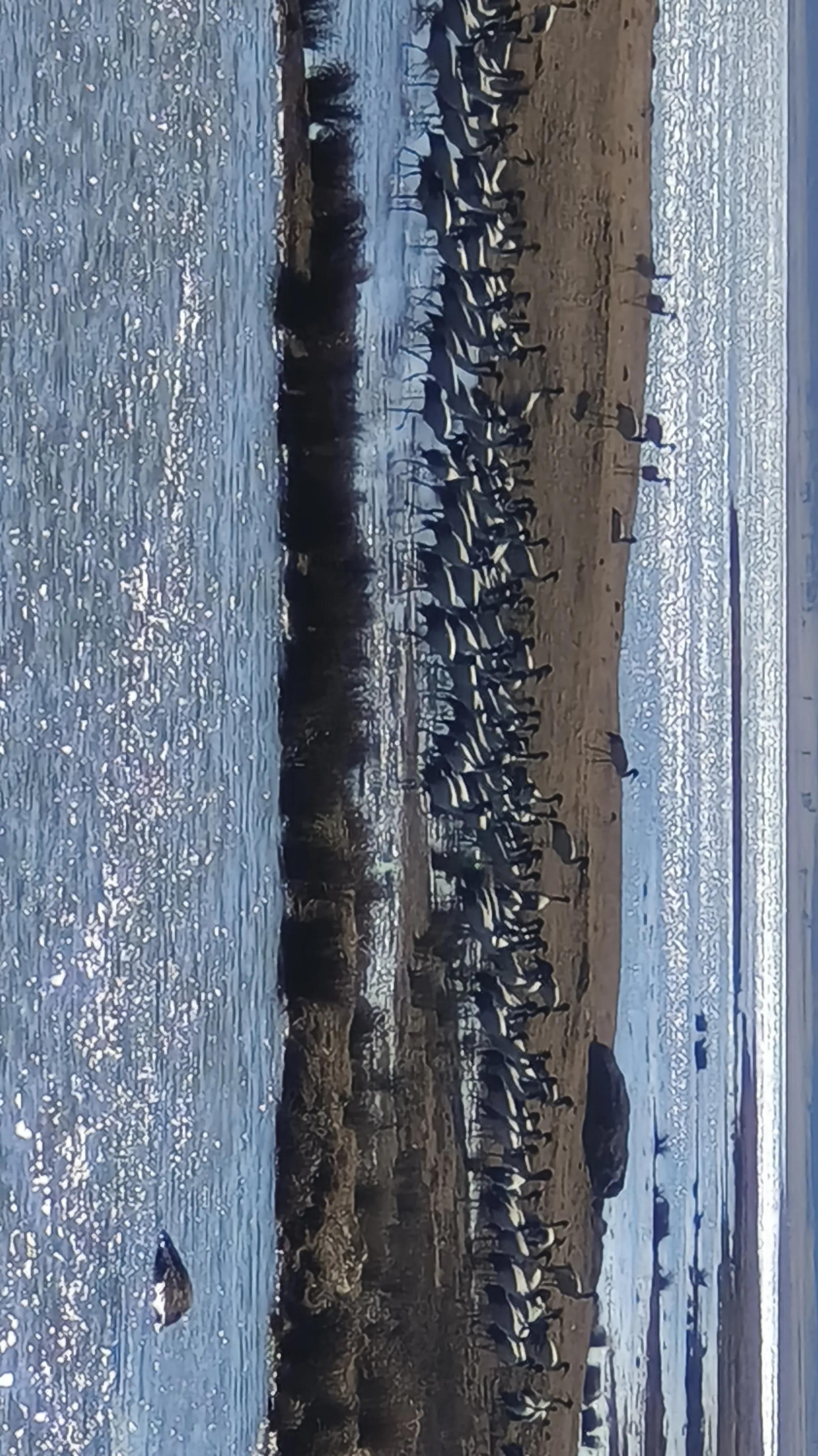 西双版纳10日行——走遍春夏秋冬，总会有人四季等你。