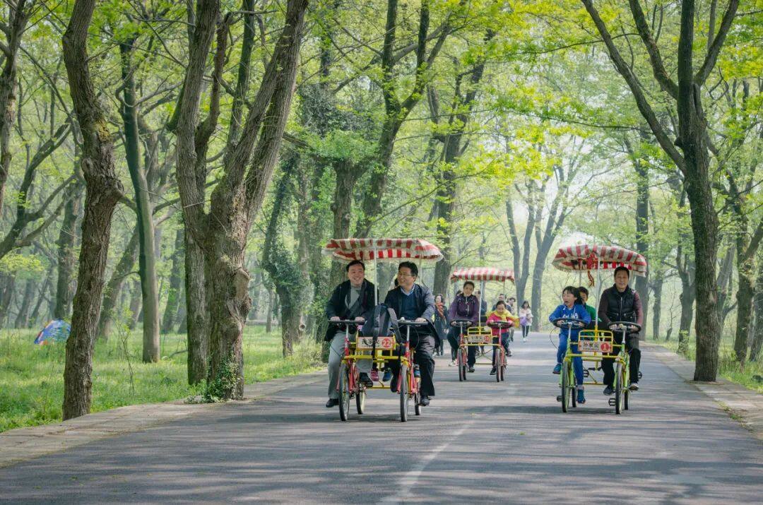 动力伞utv,动力伞热气球飞行