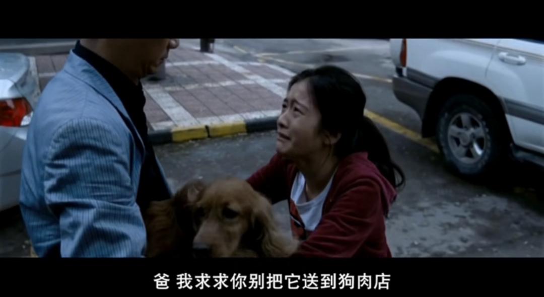 把孩子宠物煮熟来吃,还拍短视频博眼球?这种流量密码不要也罢