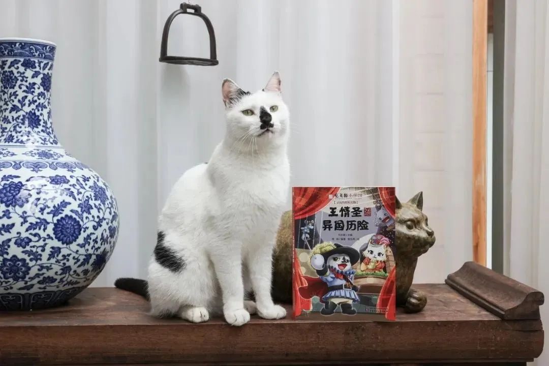 观复猫说过年抽奖,观复猫过年说