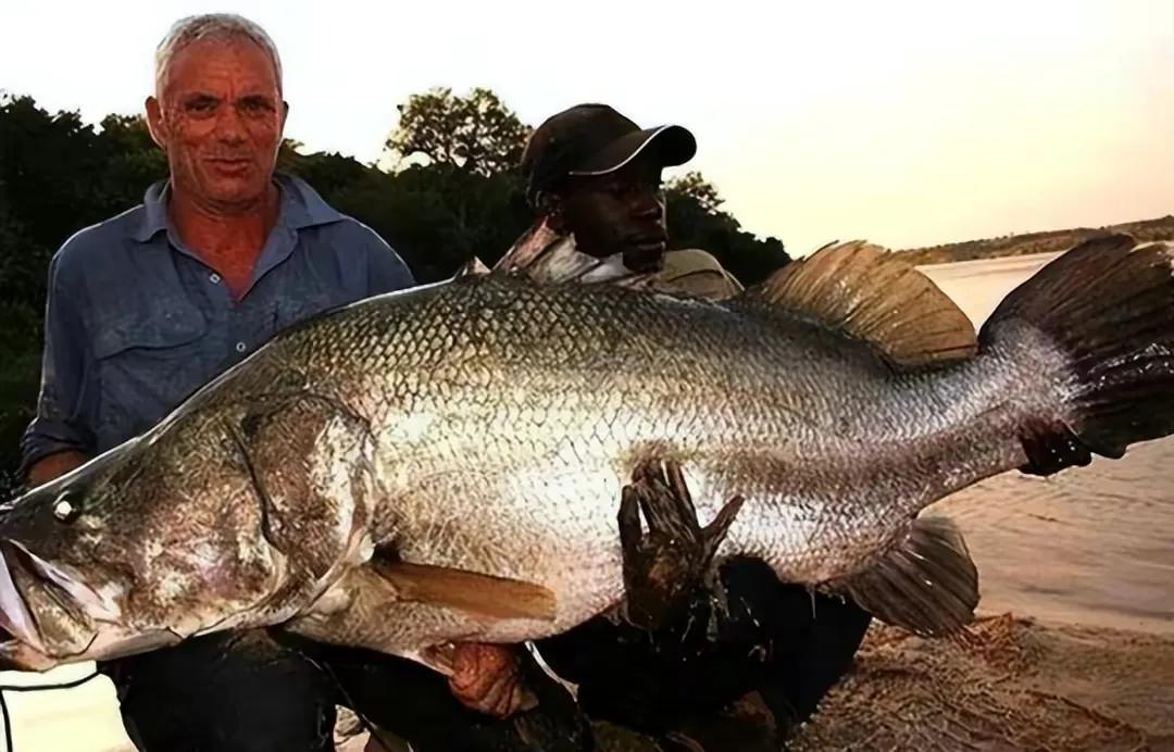 还没足球场大的非洲小岛，住了1000个居民，其他人还拼命往这里挤