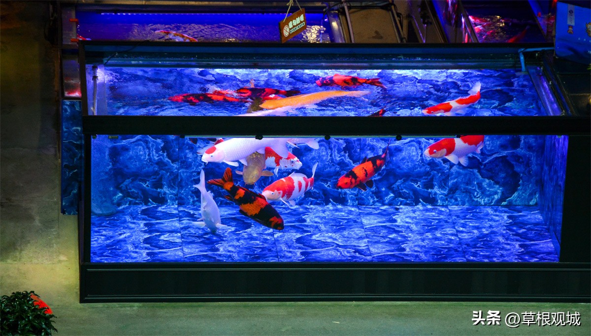 鎺㈣杩庢槬鑺卞競,澶ц繛瑗块儕鑺卞競鎼摢鍘讳簡