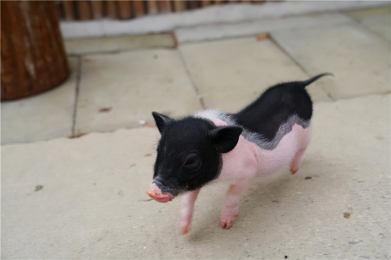 苏州东太湖游玩攻略图,苏州东太湖边旅游