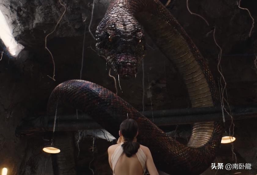 巨蛇闯女校现场拍摄花絮,巨蛇闯女校原声剪辑