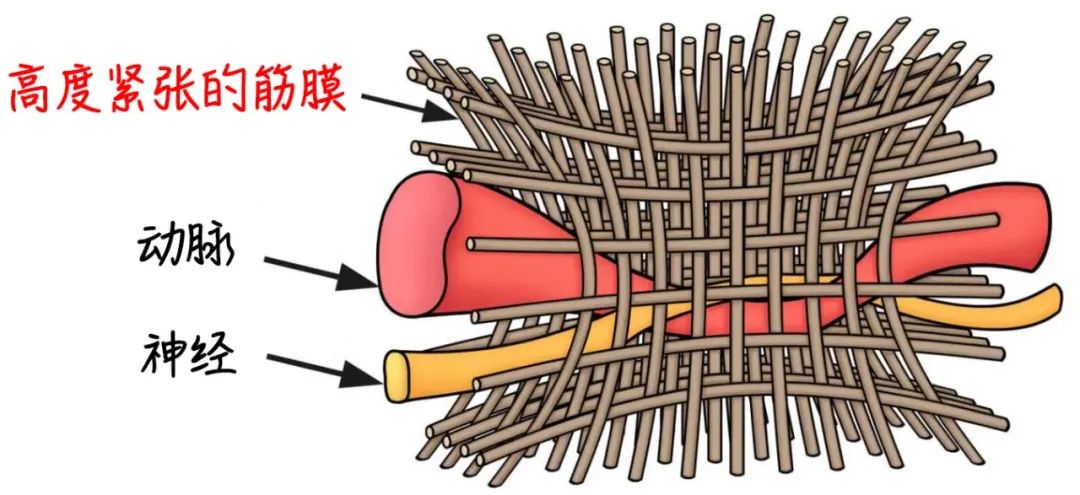 宝宝拉不出粑粑难受怎么办,拉不出粑粑的最快解决办法