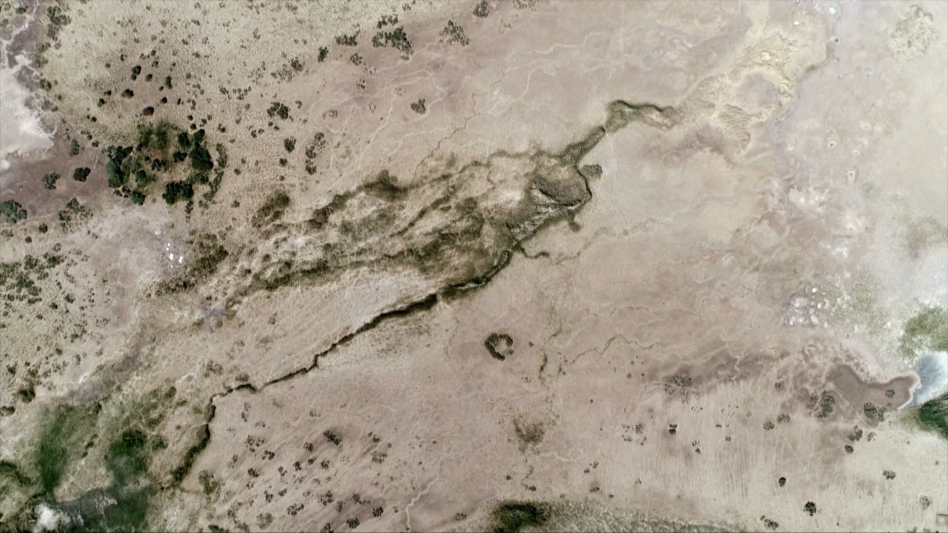 青海诺木洪枸杞今年什么时候摘,青海诺木洪枸杞采摘