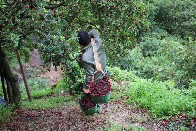 钢板为什么会无缘无故的断了,钢板一般情况下会不会断裂