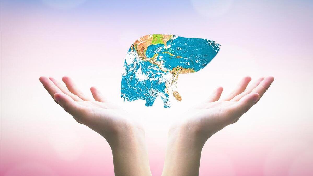 每天一个鸡蛋对恢复肝脏好吗,鸡蛋冲开水对肝脏有好处吗