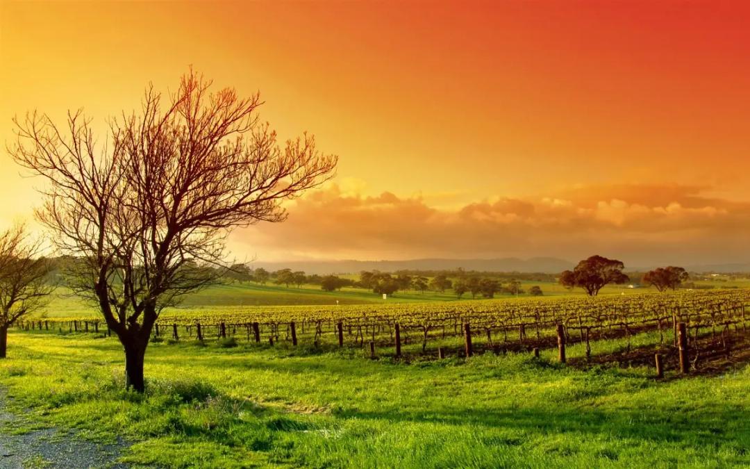 一个人最大的远见是投资这4件事,一个人最大的远见是做好这三件事