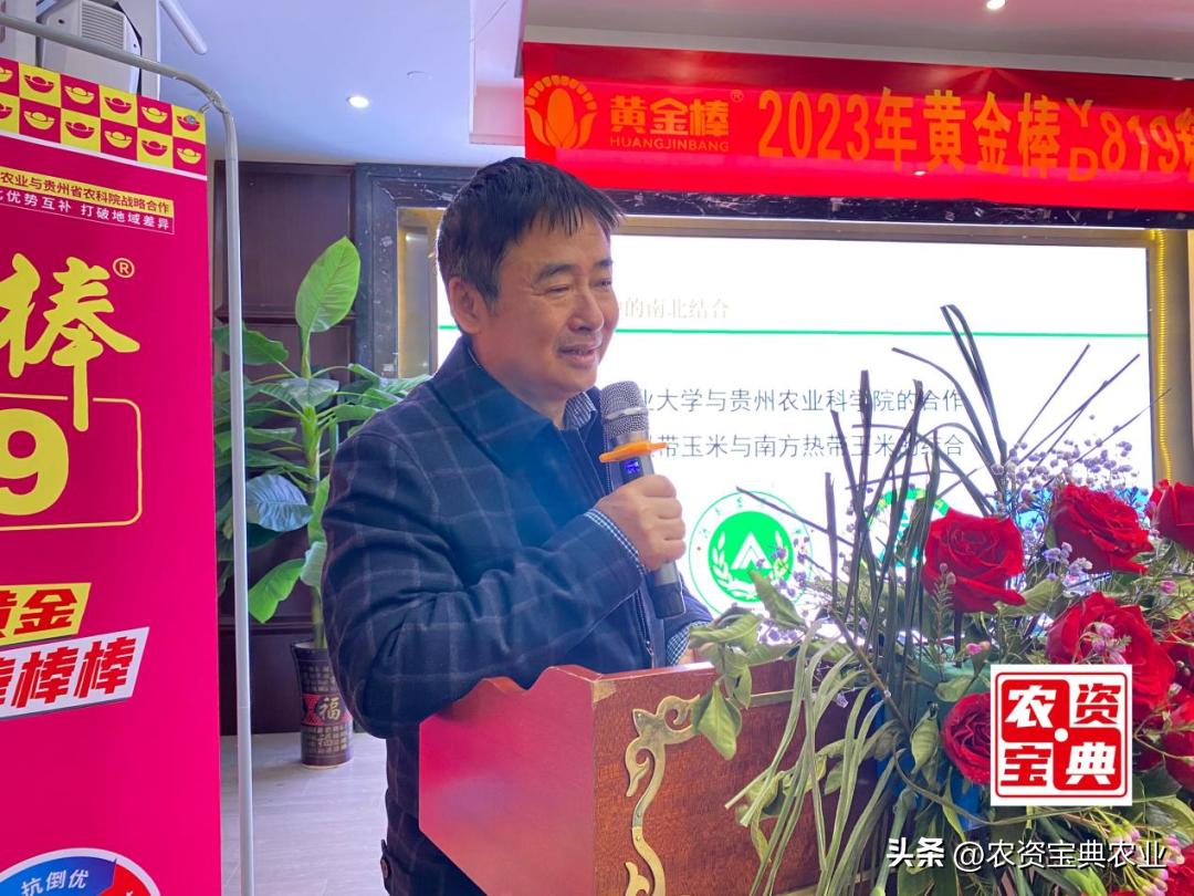 黄金棒819玉米种介绍,黄金棒YD819玉米种审定公告