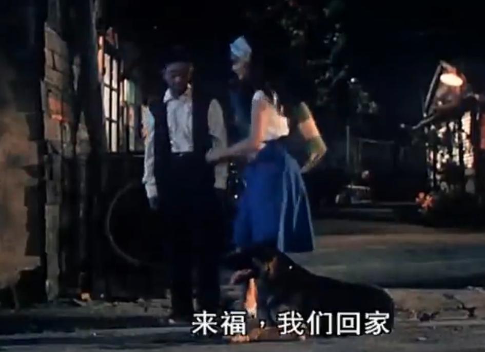 搭错车（酒干倘卖无）