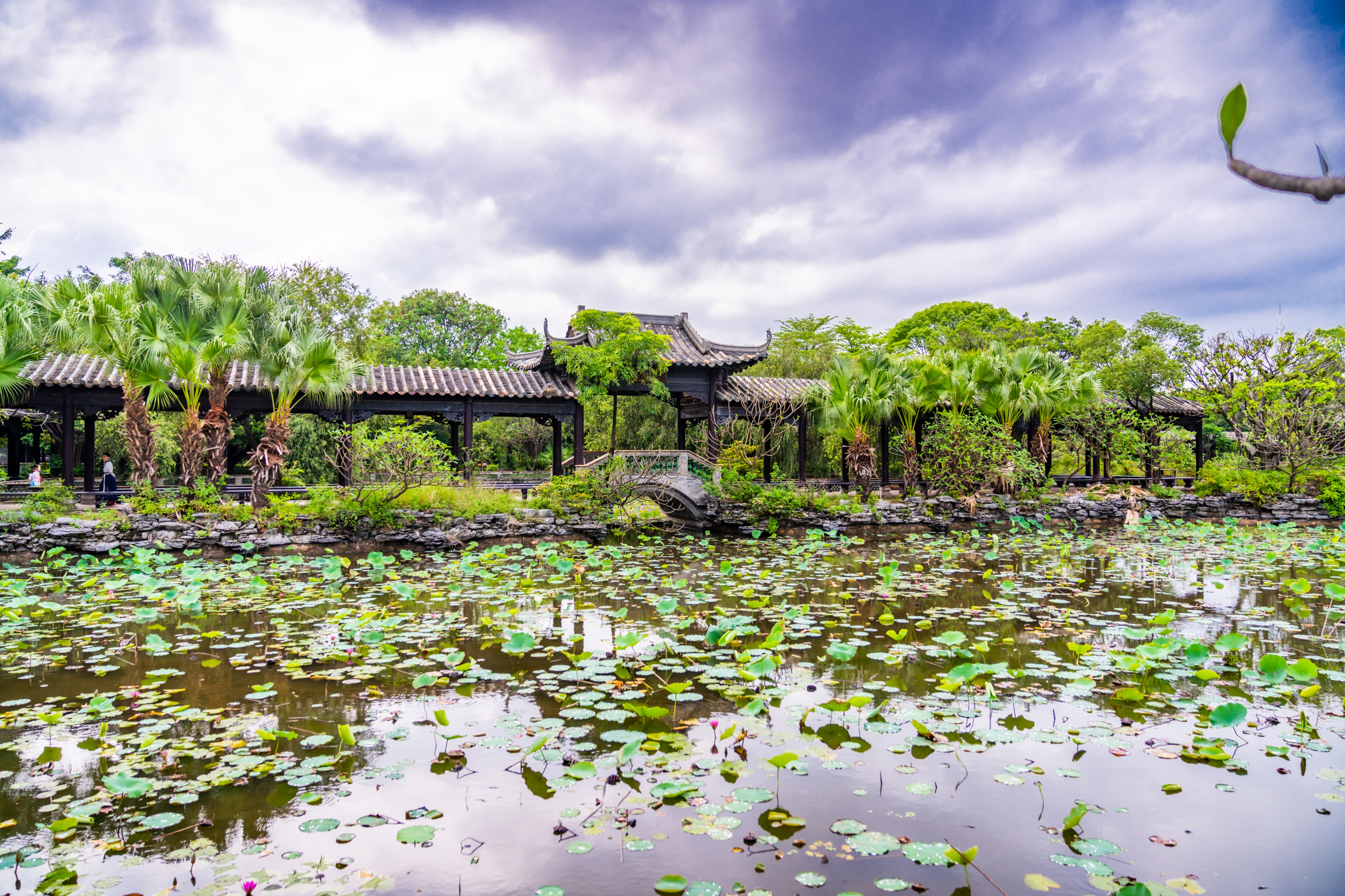 粤晖园国庆游,粤晖园自驾游攻略