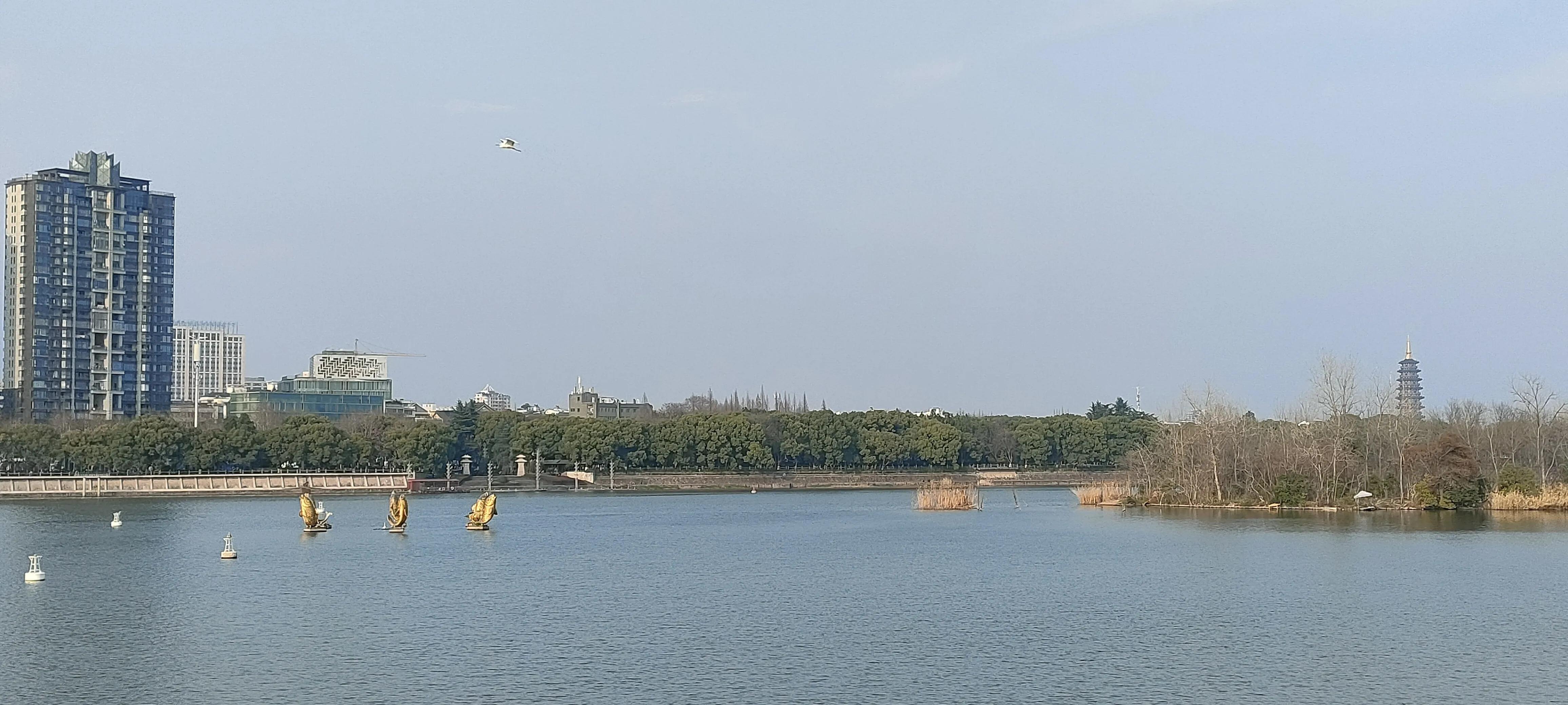 诗词格律尺子,五本末倒置